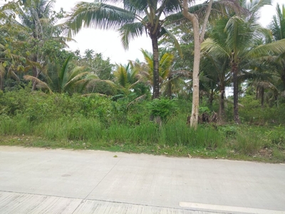 For Sale Affordable Lot For Only 800/sqm. Along Provincial Road, Cortes