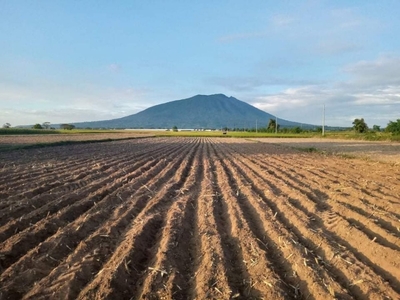 For Sale Agricultural Land in Porac Pampanga (400 per sq. meter)