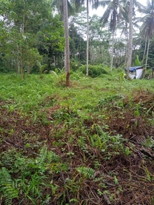 For Sale Agricultural Land Located within Poblacion of Bayugan City
