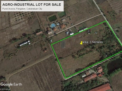 For Sale: Agro-Industrial Farm Lot in Cabanatuan City, Nueva Ecija