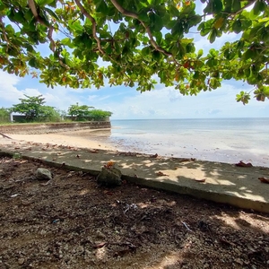 For Sale: Beach Lot in Bogo, Cebu