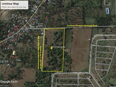 For Sale by Owner 3.4 Hectares. P3,500/sqm. or Best Offer in Bgry. Plardel, Lipa