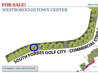 FOR SALE! COMMERCIAL LOT AT WESTBOROUGH TOWN CENTER