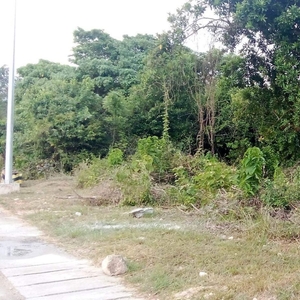 For Sale Commercial Lot fronting Highway Panglao Bohol