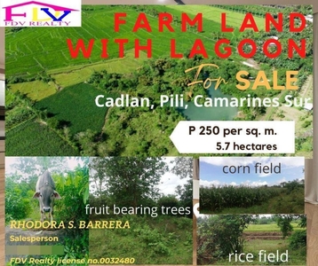 For sale Farm lot with Lagoon in Cadlan, Pili, Camarines Sur