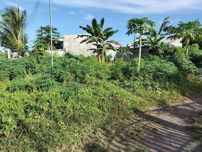 For Sale Home/Commercial Lot in Brgy. Cannery Site, Polomolok, South Cotabato