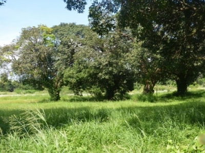 For Sale Lot - Orchard Golf and Country Club Cavite in Salitran IV, Dasmariñas