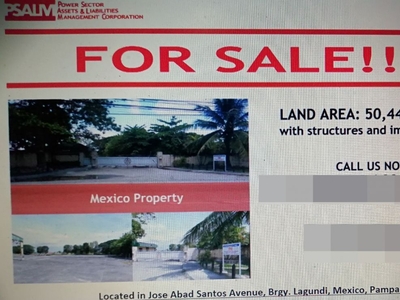 For Sale Mexico Property (Land with Structures and Improvements)