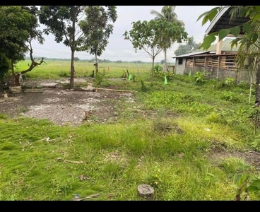 For Sale Parcel of Land in Rumbang, Pototan Iloilo