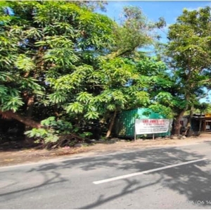 For Sale Raw Land in Candelaria, Quezon with entrance facing barangay road