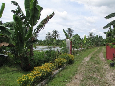 For Sale Residential Lot for Subdivision in Rizal, Javier - Good Infrastructure