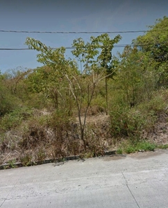 For sale Vacant Lot good for Commercial and Residential w/ Farm, Cardona, Rizal