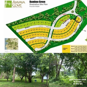 For Sale Vacant Lot in Anvaya Cove (Bamboo Grove), Morong, Bataan