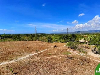 FOR SELL OVERLOOKING SUBDIVISION LOT IN CARCAR CITY, CEBU!
