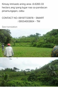 For vacant farm lot in Pandacan, Pinamungahan, Cebu