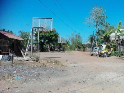 Freedom Land -- ALAMINOS CITY PANGASINAN -- Commercial Lot/ Riceland for Sale