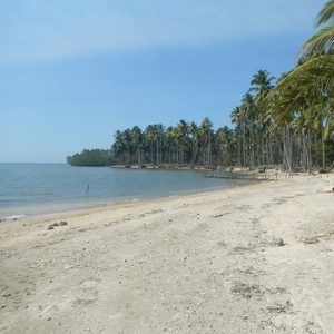 front beach palawan for sale
