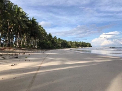 Good Size of Beach Front lot for sale in Aporawan, Aborlan, Palawan