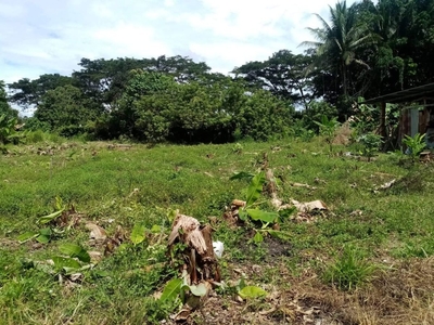 Great 1,000 sqm plot in Tagum City for Sale