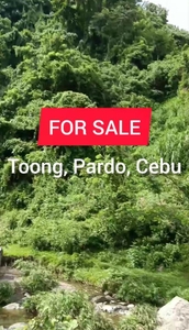 Highly Negotiable : 9,000 sqm Land For Sale in Toong, Pardo, Cebu