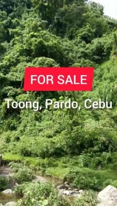 HIGHLY NEGOTIABLE : Land For Sale - Toong, Pardo, Cebu