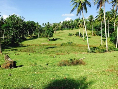 Hillside View Lot for Sale Overlooking Mayon Volcano, Mabini, Daraga