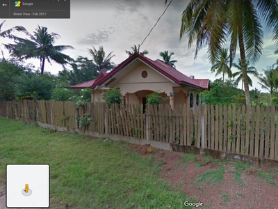 House and Lot 3 bedroom with land view in Ubay Bohol