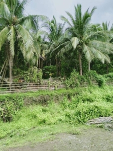 Ideal for rest house Land For Sale at Manlayaan Gumaca, Quezon