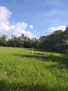 Ideal for Subdivision - Farm land