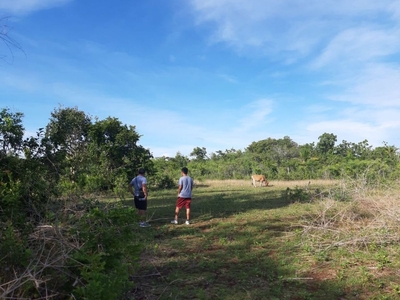 Land for Sale in Bantayan Island @ Php385/sqm