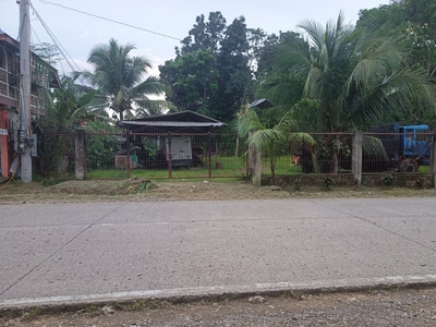land for sale in San Vicente Norte, Sagbayan near highway