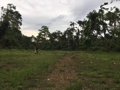 leisure farm vill it's inside of the subdivision in Bohol for sale