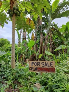 Lipa City Residential LOT for SALE