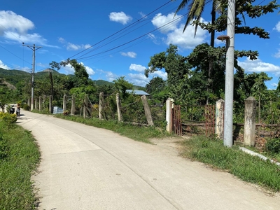 looking for a farm lot within the city? agri/residential lot, naga city, cebu