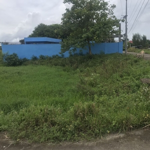 Lot 240 sqm each , with title, updated tax at Pili, Camarines Sur