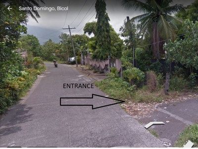 Lot Area with Clean title for sale in Lidong, Santo Domingo, Albay
