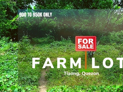 farm lot for sale @tiaong quezon!