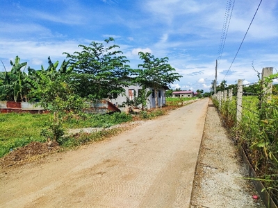 lot for sale 1,200sqm. 1.5m only nego. in padgre garcia batangas