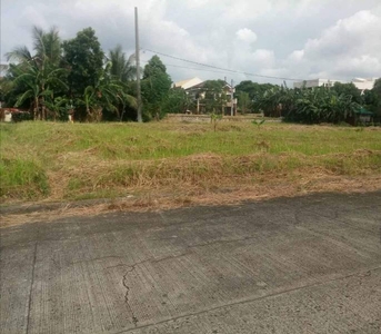 Lot for Sale 150 Sqm Residential at Robinson's Vineyard (Direct Buyers Only)