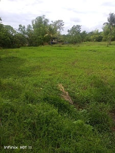 Lot for sale agri land in San Rafael, Dulag, Leyte