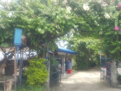 Lot for sale at Borbon, Cebu - Imbiss Eatery with Rental Houses