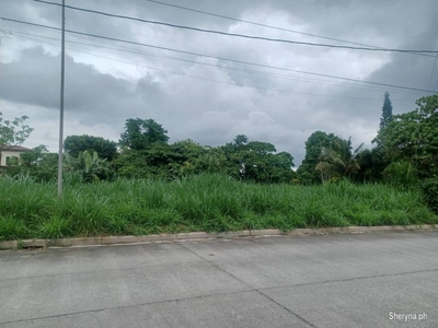 Lot For Sale at Ponderosa Leisure Farms in Silang Cavite