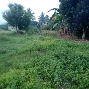 Lot for sale Fronting National Highway