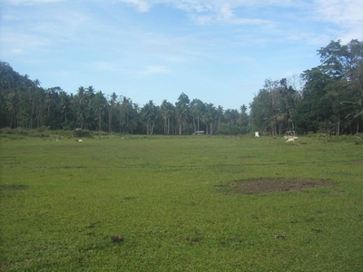 Lot For Sale (good for Subdivision Residential Area and or Farm), Lugait