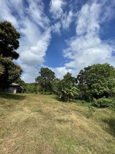 Lot For Sale In Ambulong, Tanauan