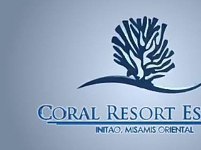Lot For Sale in Coral Estate Resort Phase 3, Payment Thru Bank Financing, Initao