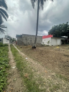 Lot for sale in Jugno, Amlan Negros Oriental along National Highway