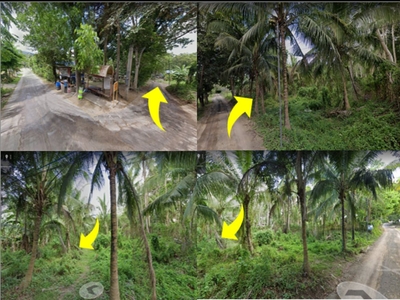 lot for sale in mahabang dahilig