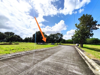 Lot For Sale in Manila Southwoods Residential Estates
