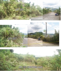 Lot for sale in Naga Valley Industrial Park (formerly Sme Industrial Park)